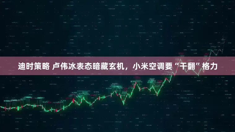 迪时策略 卢伟冰表态暗藏玄机，小米空调要“干翻”格力