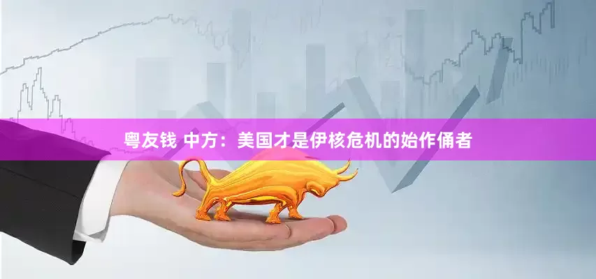 粤友钱 中方：美国才是伊核危机的始作俑者
