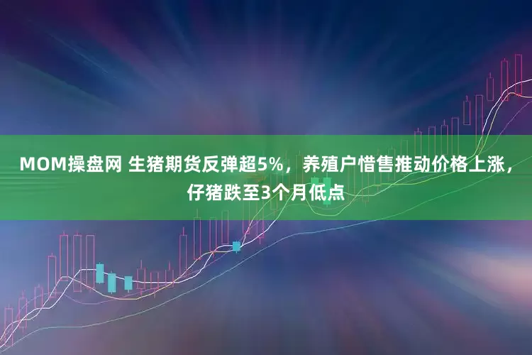MOM操盘网 生猪期货反弹超5%，养殖户惜售推动价格上涨，仔猪跌至3个月低点