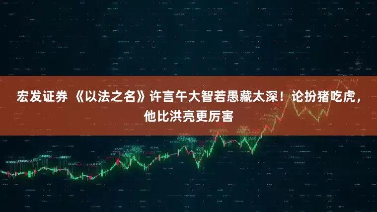 宏发证券 《以法之名》许言午大智若愚藏太深！论扮猪吃虎，他比洪亮更厉害