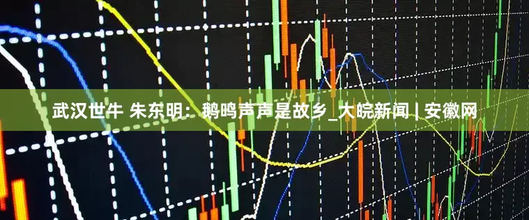 武汉世牛 朱东明:鹅鸣声声是故乡_大皖新闻 | 安徽网