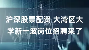 沪深股票配资 大湾区大学新一波岗位招聘来了