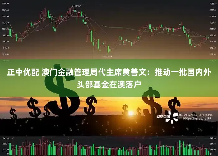 正中优配 澳门金融管理局代主席黄善文：推动一批国内外头部基金在澳落户