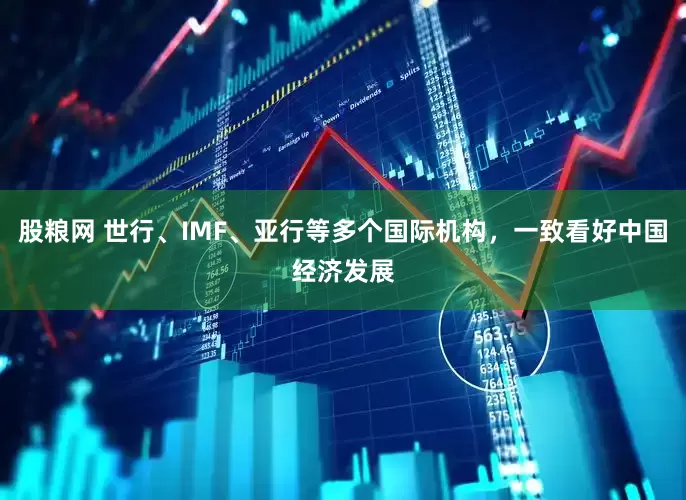 股粮网 世行、IMF、亚行等多个国际机构，一致看好中国经济发展